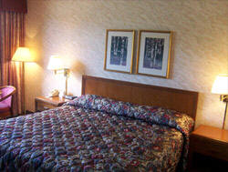 Days Inn photo